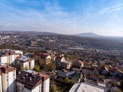 Rakovica iz vazduha, stambeni blokovi i kuce
